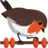 Rotki logo